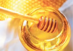 The U.S. Department of Agriculture’s national honey report for Sept. 25 says North Dakota honey sells at a 40 per cent premium to western Canadian honey. | Getty Images