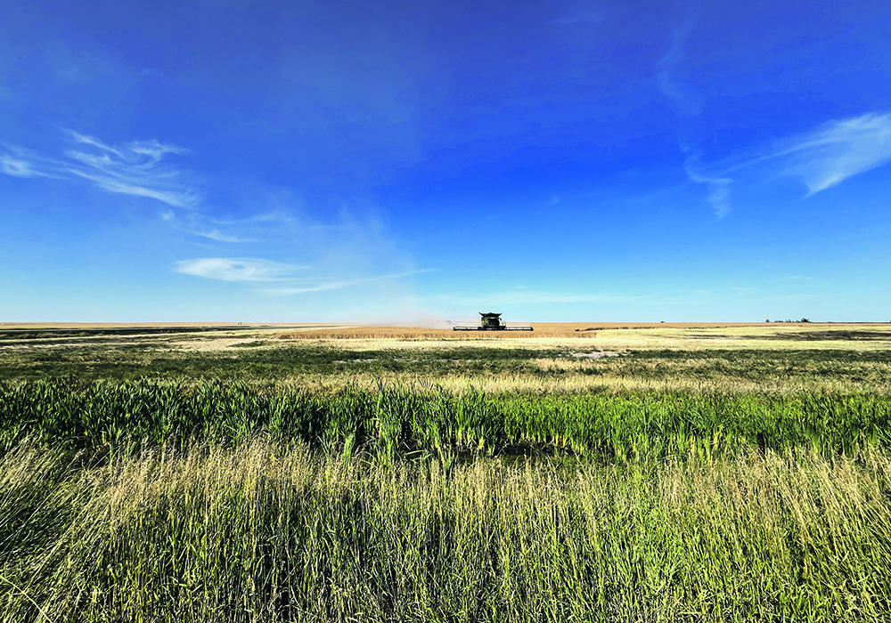 Farm Credit Canada doesn’t expect lower commodity prices to have much of an impact on rising farmland values.  |  File photo