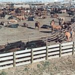 The Inflation Reduction Act (IRA), passed in 2022, included nearly $20 billion to reduce greenhouse gas emissions from the farm sector. | File photo