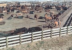 The Inflation Reduction Act (IRA), passed in 2022, included nearly $20 billion to reduce greenhouse gas emissions from the farm sector. | File photo