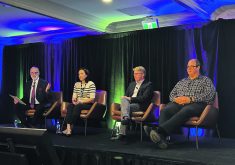 Protein Industries Canada director Dave Donnan, left, Heidi Dutton of Sunnydale Foods and Lovingly Made, Tyler McCann of the Canadian Agri-Food Policy Institute and Murad Al-Katib of AGT Foods take the stage during a panel discussion at the 2024 Protein Industries Canada conference.  |  Janelle Rudolph photo
