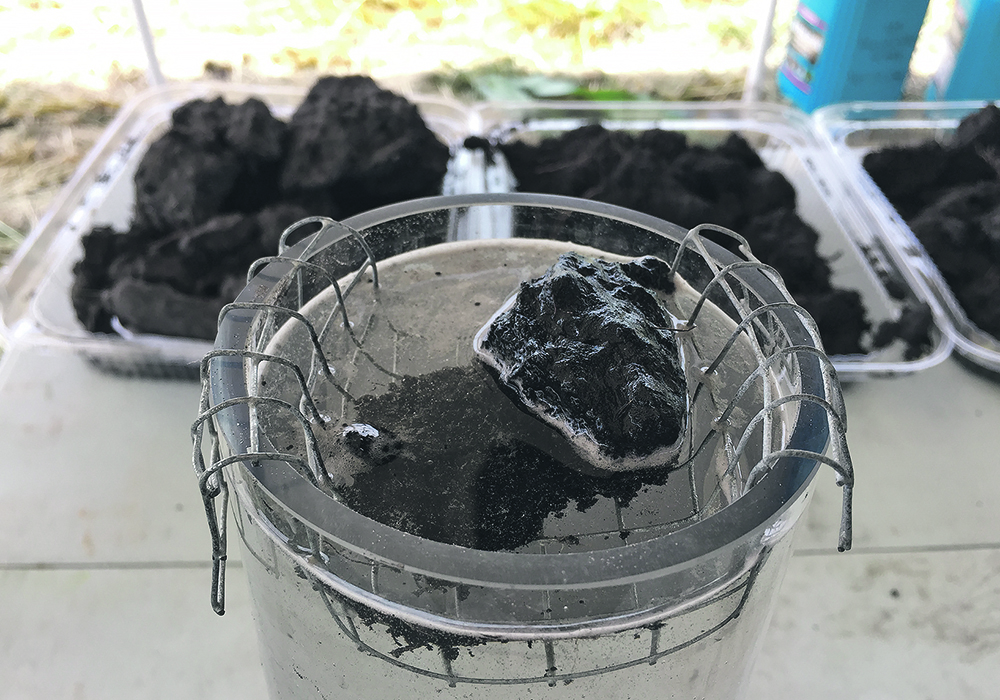 Consistency in soil sampling is seen as an important way to protect soil health.  |  File photo