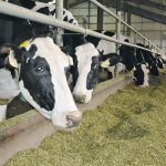 Bill C-282 would prevent trade negotiators from making commitments in an international trade deal that would increase tariff rate quotas for supply managed products such as dairy, poultry and eggs. | File photo