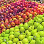 More than 100 varieties and cultivars of apples are grown in Canada. About 30 are commonly available commercially. | Sarah Galvin photo