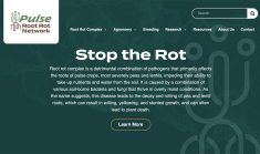 A website, rootrot.ca, has been launched through the Pulse Root Rot Network. Users can access information on agronomy, breeding and pathology to advance research and management practices. | Screencap via rootrot.ca