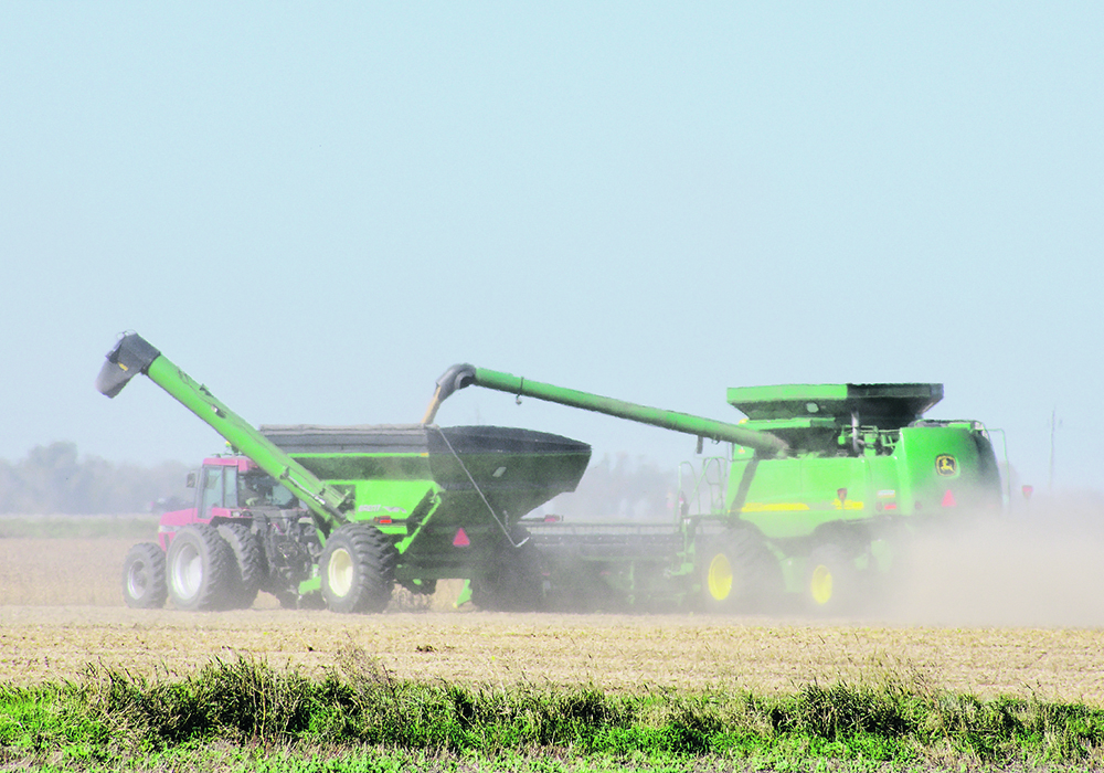Grain carts and combines roll onto soybean fields in Manitoba’s Pembina Valley during the first week of October. | Alexis Stockford photo