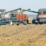 “Topsoil moisture reserves are very low and in many regions wheat is entering the winter in the worst shape in recent years,” SovEcon analyst Andrey Sizov said in an email. | Reuters photo