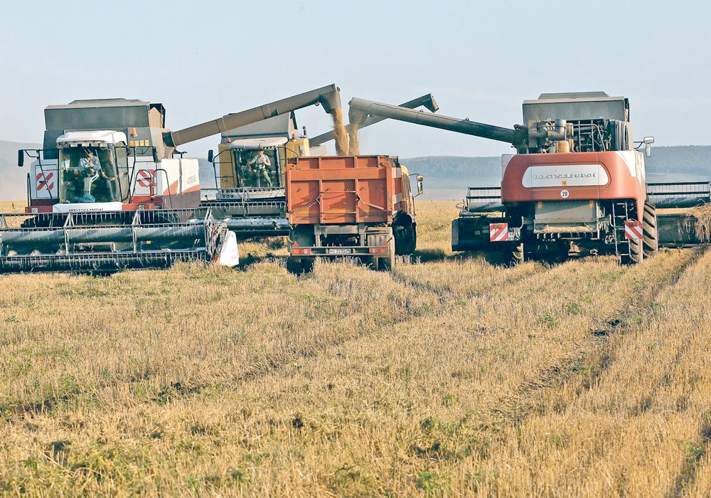 “Topsoil moisture reserves are very low and in many regions wheat is entering the winter in the worst shape in recent years,” SovEcon analyst Andrey Sizov said in an email. | Reuters photo