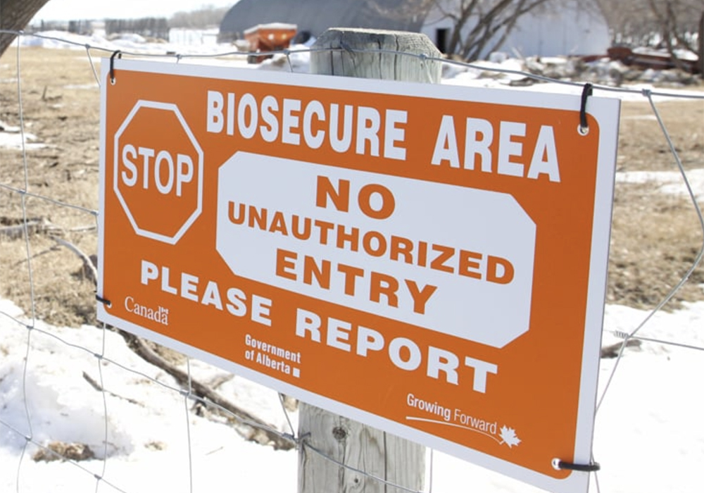 Bill C-275 is a private members bill that would amend the Health of Animals Act to increase fines for those who unlawfully enter livestock barns and processing facilities and act in a manner that might expose animals to disease. | File photo
