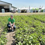 Andrea Staples from Nutrien Ag Solution’s Calgary location was tending the plots for Proven Seed at Ag in Motion in Langham, Saskatchewan in July. | Don Norman photo