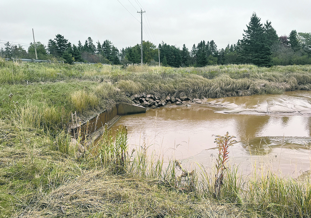 An aboiteau, or one-way sluice, holds back salt water from the Bay of Fundy, keeping it off farmland and away from communities.  |  Karen Briere photo