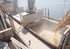 Russia has been pushing to establish the BRICS grain exchange as part of a broader plan to create new financial instruments, detach its trade from the U.S. dollar and help Moscow combat western sanctions. | Reuter photo