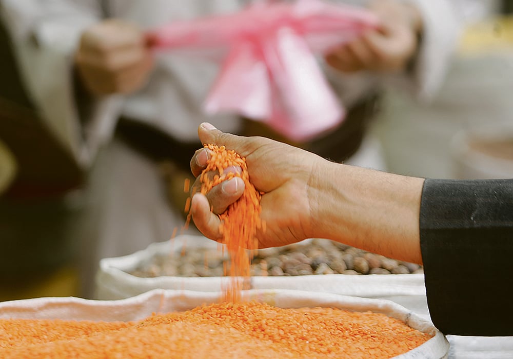 AgPulse Analytica is reporting that the red lentil crop is in trouble in two key states of Australia — South Australia and Victoria. | Reuters photo