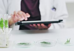 It’s been suggested that access fees under the Treaty on Plant Genetic Resources for Food and Agriculture be applied to those who want genetic material from the gene banks of treaty-signatory countries, as well as mandatory fees for commercialization of new crop cultivars based on that genetic material.  |  Getty Images