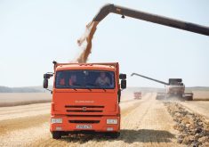 Russia’s proposal to create a new international grain exchange was recently approved by the BRICS group of countries at a summit in Russia. | Reuters photo