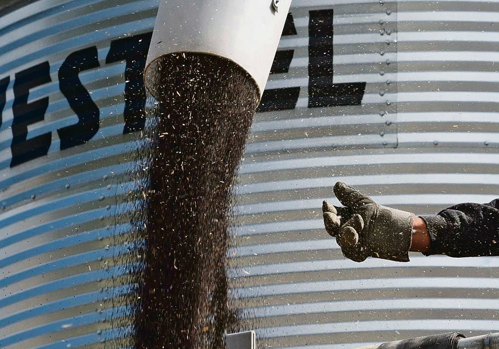 It's possible that canola production could be in the range of 17 to 18 million tonnes, significantly lower than Statistics Canada estimates of 19 million. | File photo