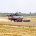 Russia's decision to plant less wheat will have direct implications for global wheat prices and inflation in major buyers like Egypt as Russia is the world’s top exporter of the grain. | Getty Images