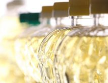 Steady demand worldwide will continue to drive oilseed prices up, says an industry analyst. | Canola Council of Canada photo