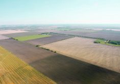 Renting out farmland can affect a tax-deferred rollover to the next generation, depending on how the rental agreements are written. | FILE PHOTO