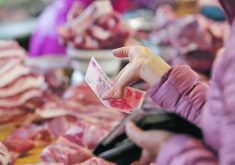 Hog production in China declined to 12.59 million tonnes in the June-September period. | REUTERS PHOTO