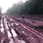 Sections at both ends of Highway BR-319 in Brazil have been paved, but more than 400 kilometres in the middle are still dirt road that turns to impassable mud in the rainy season. Scientists and environmental activists say completion of the road will open access to illegal loggers and miners, as well as farmers who clear the forest by setting fires to open the land for cattle ranching. | REUTERS PHOTO
