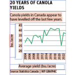 Canola goals must be reassessed to match market reality