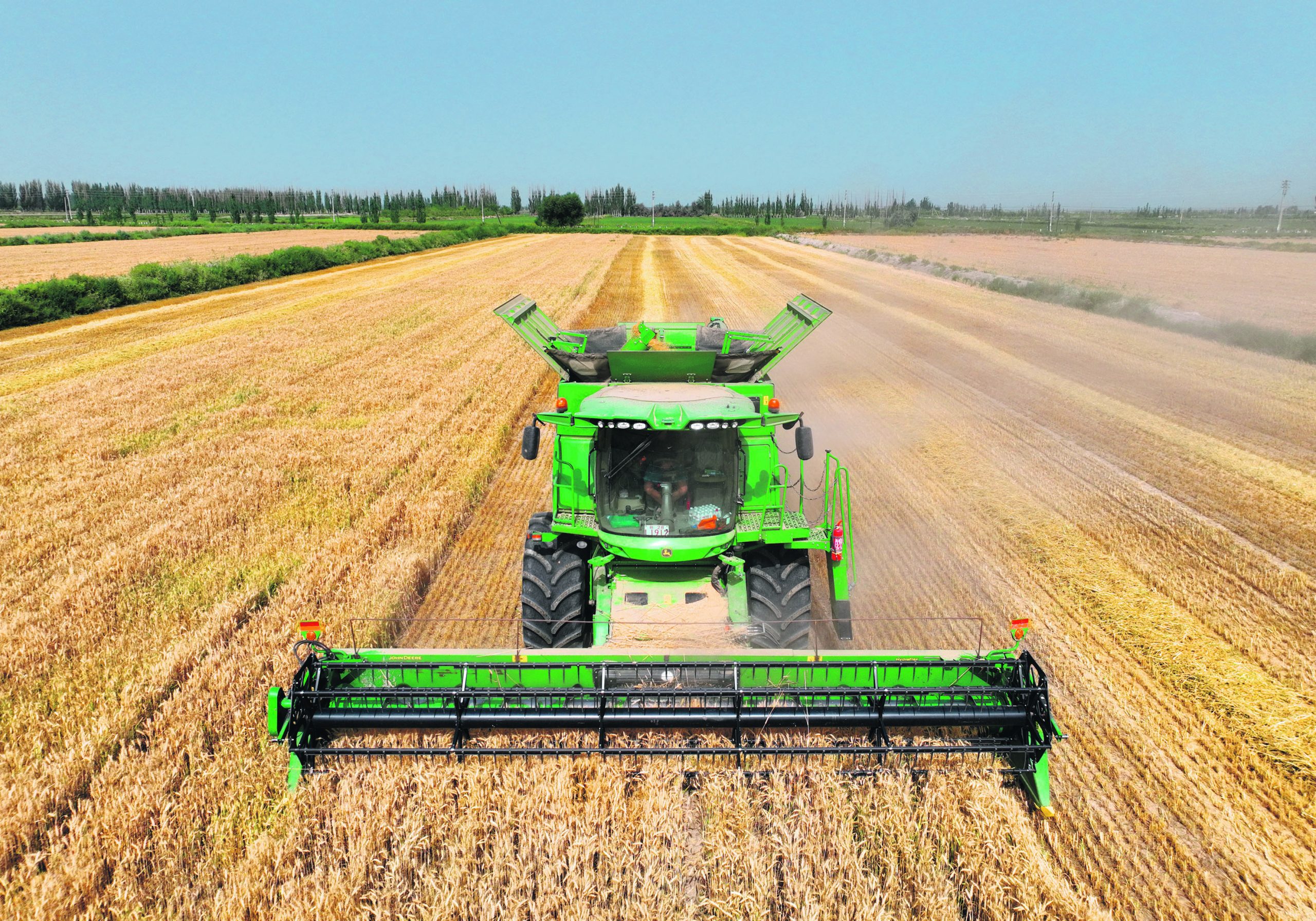 China says grain production is forecast to hit a record 700 million tonnes this year, which could partially
explain lower imports. | REUTERS PHOTO