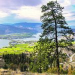 The view of Osoyoos, B.C., from the Anarchist Mountain Lookout on Highway 3 is spectacular. | Robin & Arlene Karpan photo