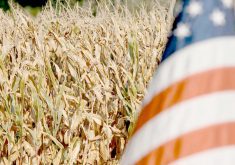 Should congressional Repoublicans succeed, federal agriculture subsidies tied to the 2024 crop will total a whopping $30.4 billion — the new $20 billion added to the current $10.4 billion already authorized by the farm bill, according to the U.S. Department of Agriculture. | File photo