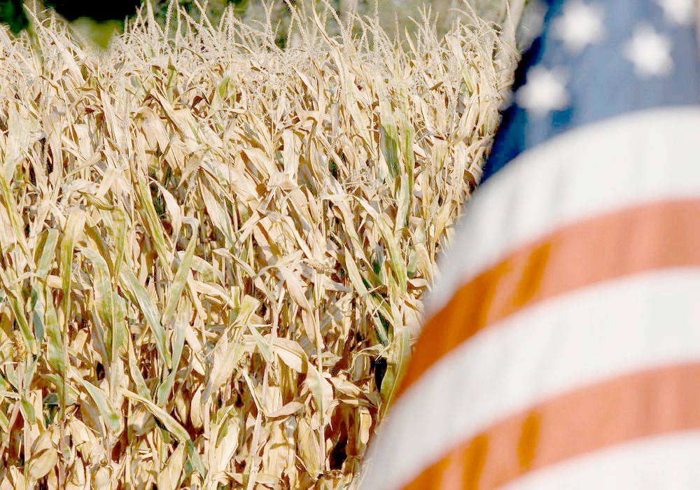 Should congressional Repoublicans succeed, federal agriculture subsidies tied to the 2024 crop will total a whopping $30.4 billion — the new $20 billion added to the current $10.4 billion already authorized by the farm bill, according to the U.S. Department of Agriculture. | File photo