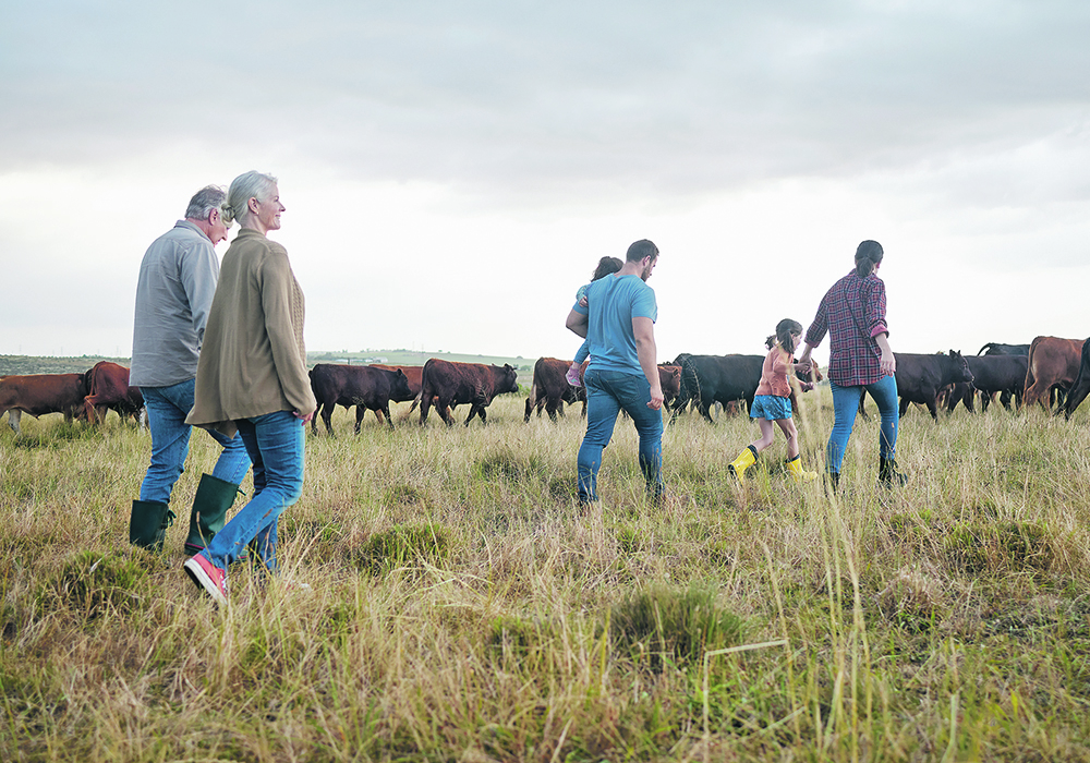 Farm families who are going through succession planning are reminded that it is helpful to assume good intentions and be more curious and less judgmental.  |  Getty Images