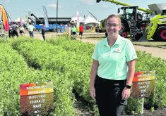 Holly Derksen, technical support specialist with UPL, was in front of display plots at the Ag in Motion farm show in Langham, Sask., earlier this year.  |  Don Norman photo
