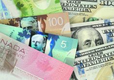 Canadian farmers should be prepared for currency turbulence in the next few years, which could make the price of inputs and farm equipment fluctuate. On the positive side, farmgate returns for some should increase.  |  Getty Images