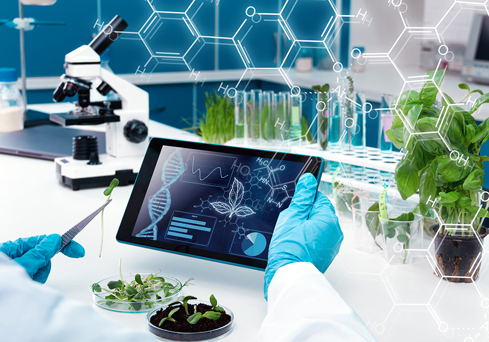 Conservatives will campaign on streamlining research and cutting red tape for agriculture. | Getty Images
