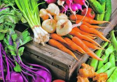 A memorandum of understanding between three national organic organizations could enable a consumer-funded levy on the $9 billion worth of yearly organic food and beverage sales in Canada.  |  File photo