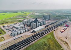 Richardson International more than doubled the capacity of its plant in Yorkton, Sask., which is the largest construction project the company has ever undertaken. The plant is now the world’s largest canola crusher, with an annual capacity of 2.5 million tonnes of seed.  |  Richardson International photo