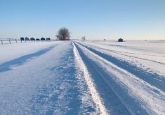 Only about 10 per cent of our snowfalls are a light dusting, which is not really measurable. About 50 per cent of the time, we can expect more than two cm of snow, which means about half the time it snows, we see less than two cm. | File photo