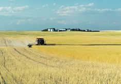 Using a succession plan, including an estate freeze instead of transferring the farming operation to children, can protect it. | Getty Images