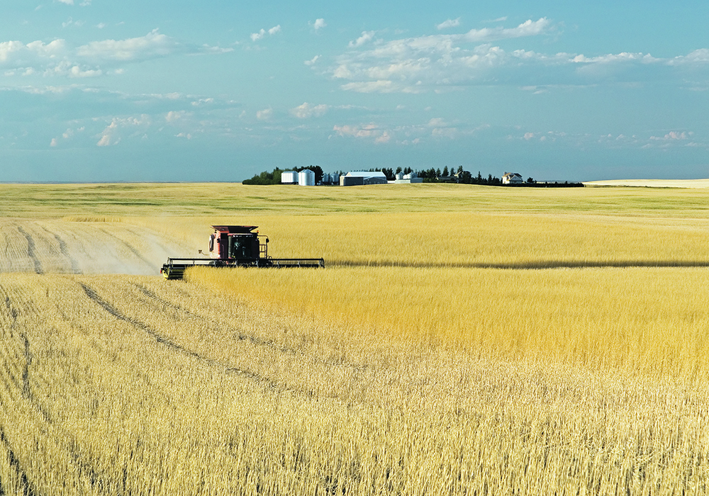 Using a succession plan, including an estate freeze instead of transferring the farming operation to children, can protect it. | Getty Images