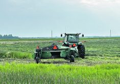 Hay is cut west of Holland,Man., on July 8. Many first cuts were delayed by rain but final harvest numbers were good.  |  File photo