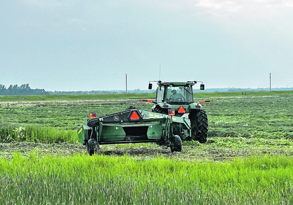 Hay is cut west of Holland,Man., on July 8. Many first cuts were delayed by rain but final harvest numbers were good.  |  File photo