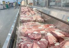 Tight cattle supplies are squeezing meatpackers, including Tyson Foods, which reports quarterly earnings on Tuesday, and consumers facing high beef prices. | File photo