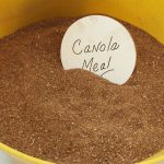 Canola meal is typically dicounted and sold as animal feed. A University of Saskatchewan engineering professor hopes to change those economics by extracting key nutrients from the meal that can be used in fermentation and food processing. | Screencap via canadianhogjournal.com