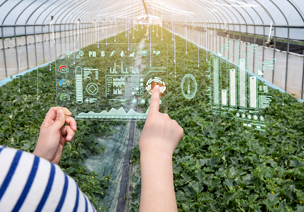 The urgency to adopt big data, GPS navigation systems and artificial intelligence in farming comes as the world’s largest grain producer stepped up investments in farm machinery and seed technology in its quest for food security. | Getty Images