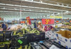 A price index compiled by the UN’s Food and Agriculture Organization to track the most globally traded food commodities increased to 127.4 points last month, up two per cent from a revised 124.9 points in September. | Getty Images