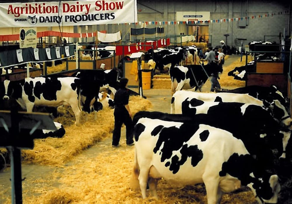 Agribition Dairy Show in 1980. | Facebook/Canadian Western Agribition photo
