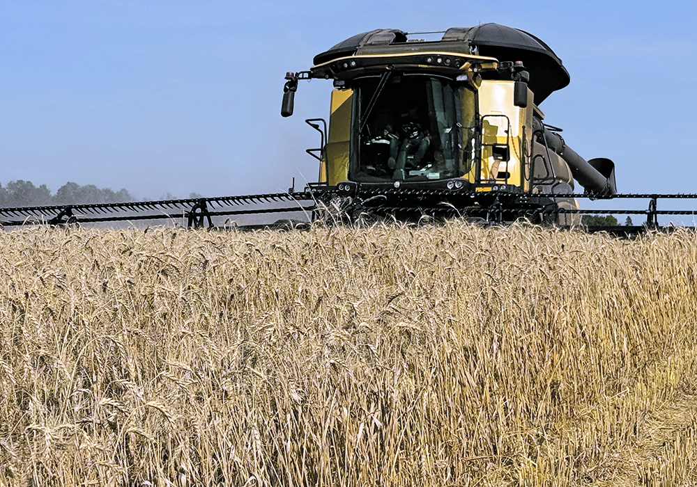 Funds will likely maintain their bearish stance in the futures market until wheat harvest in Argentina and Australia concludes in January.  |  Robin Booker photo