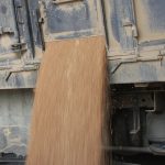 Many of the creditors are farmers who sold grain through Agfinity but were never paid. | File photo