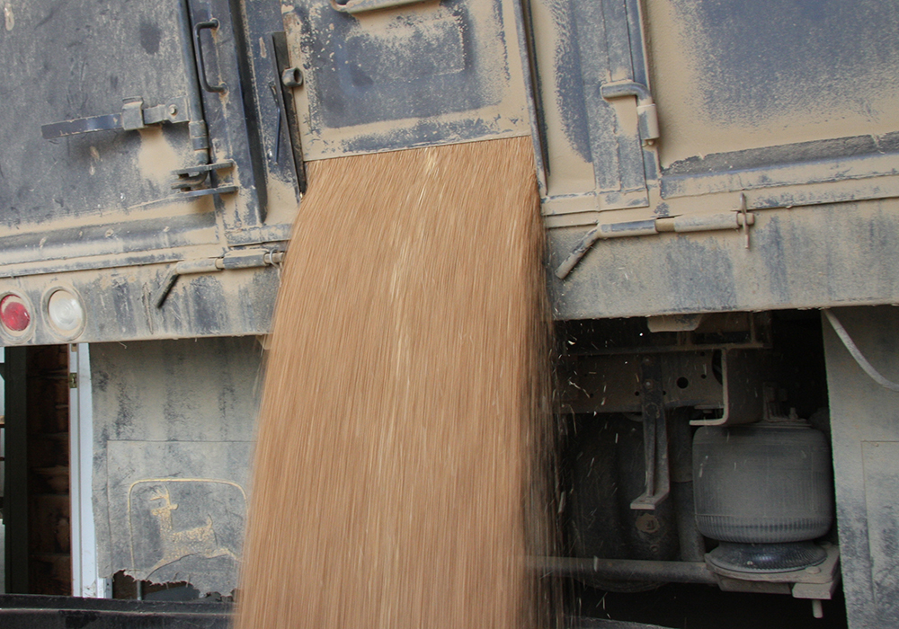 Many of the creditors are farmers who sold grain through Agfinity but were never paid. | File photo