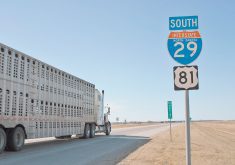 Agriculture and Agri-Food Canada has assembled a boatload of data explaining why free trade is beneficial for farmers and the agri-food industry on both sides of the border. | File photo